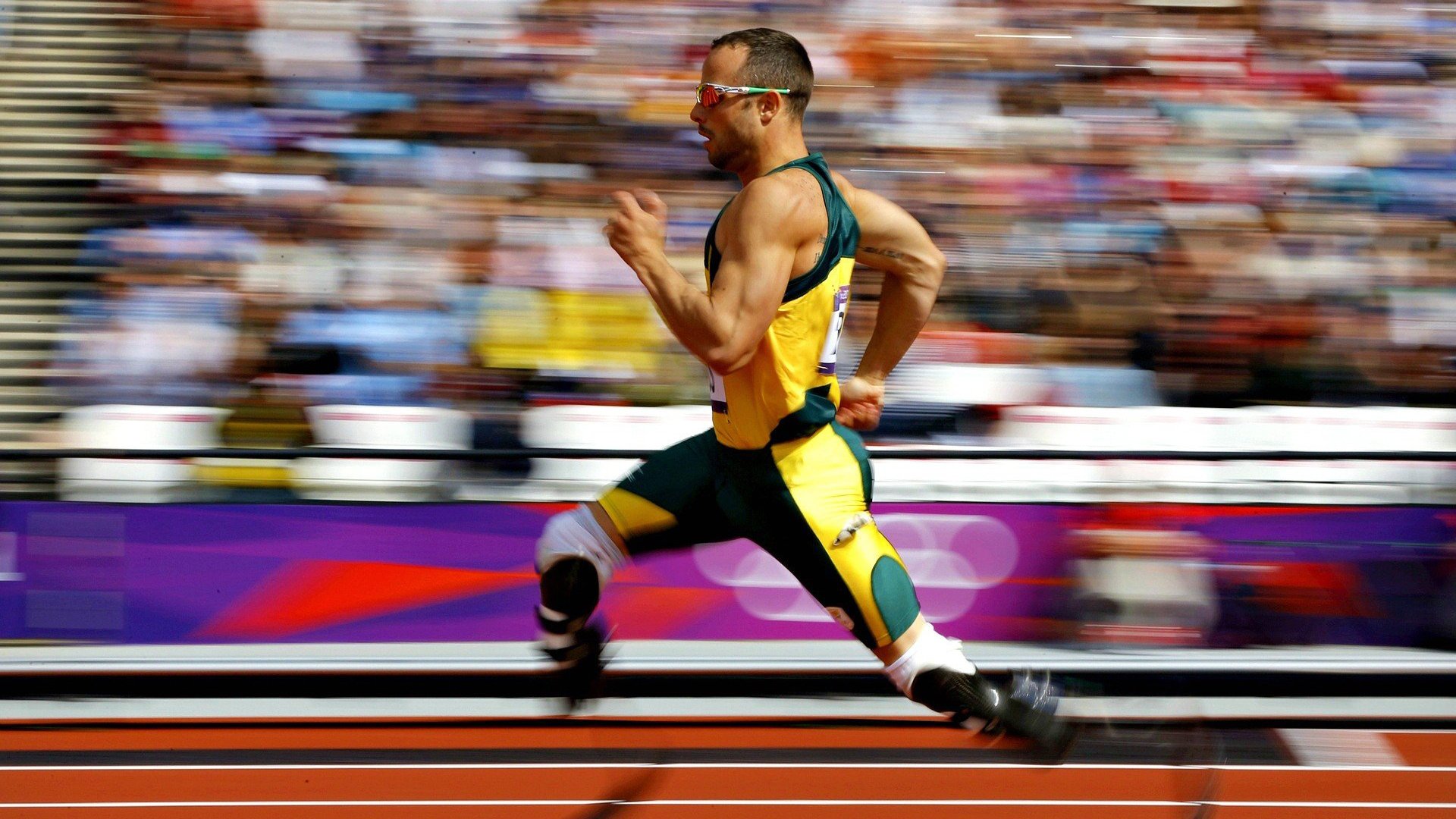 佩拉卡尼亮相蝶泳决赛引热议,佩拉斯卡